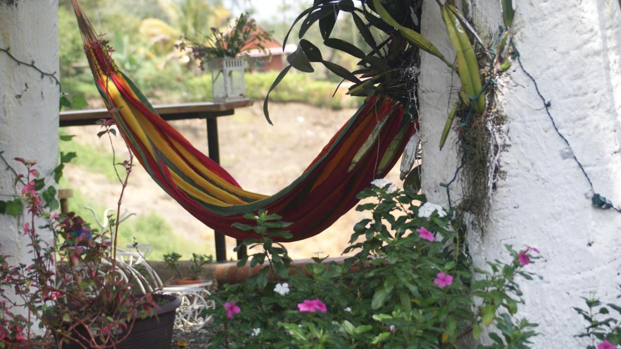 Bosque El Descanso Jamundi Luaran gambar